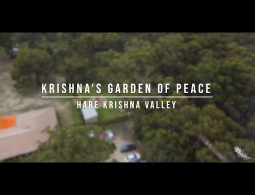 Krishnas Garden of Peace